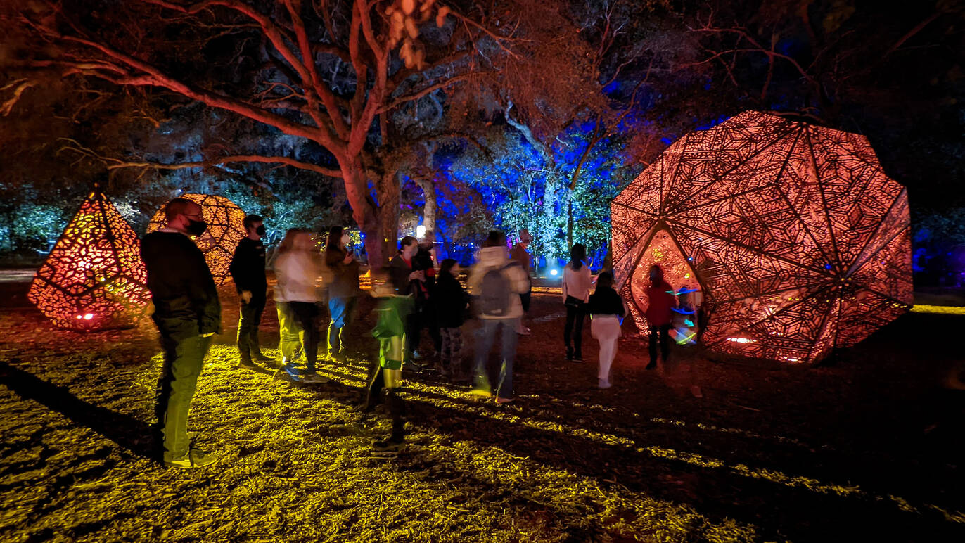 'Enchanted Forest of Light' is bringing magic back to Descanso Gardens