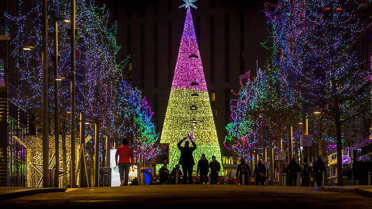 Check out the best Christmas lights in the city