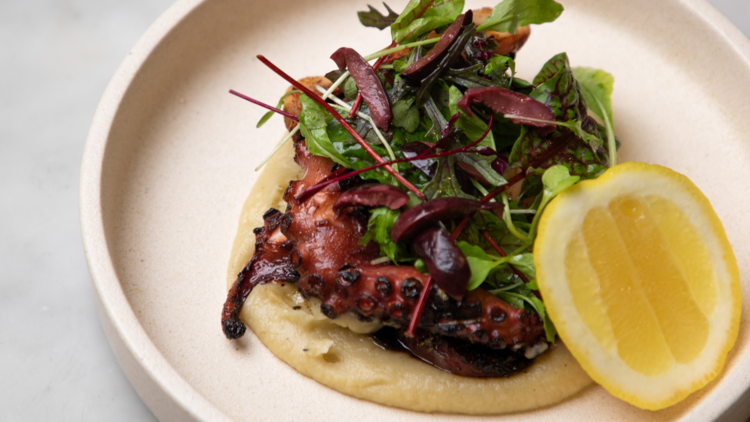 Charred octopus on a bed of hummus with leaves and a lemon cheek