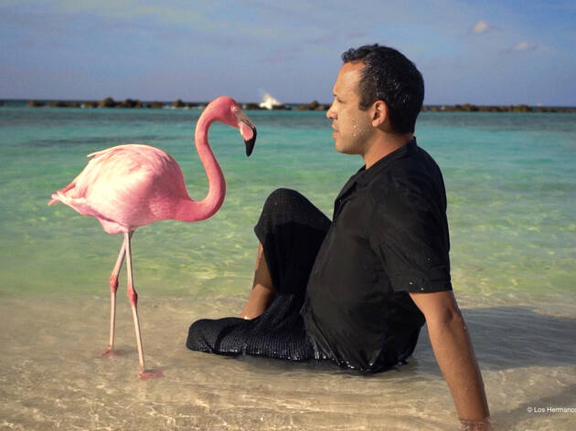 The Mystery Of The Pink Flamingo CineFiesta