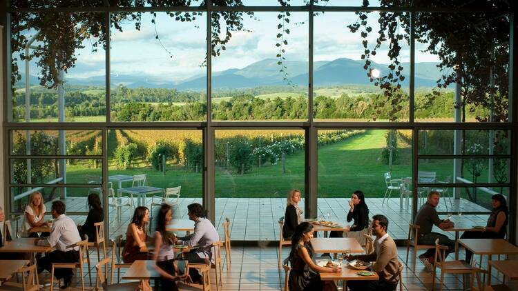 People sitting at tables in the Chandon WInery dining space. At the back of the room is a floor to ceiling, wall to wall glass window that looks out on to the lush green vineyards