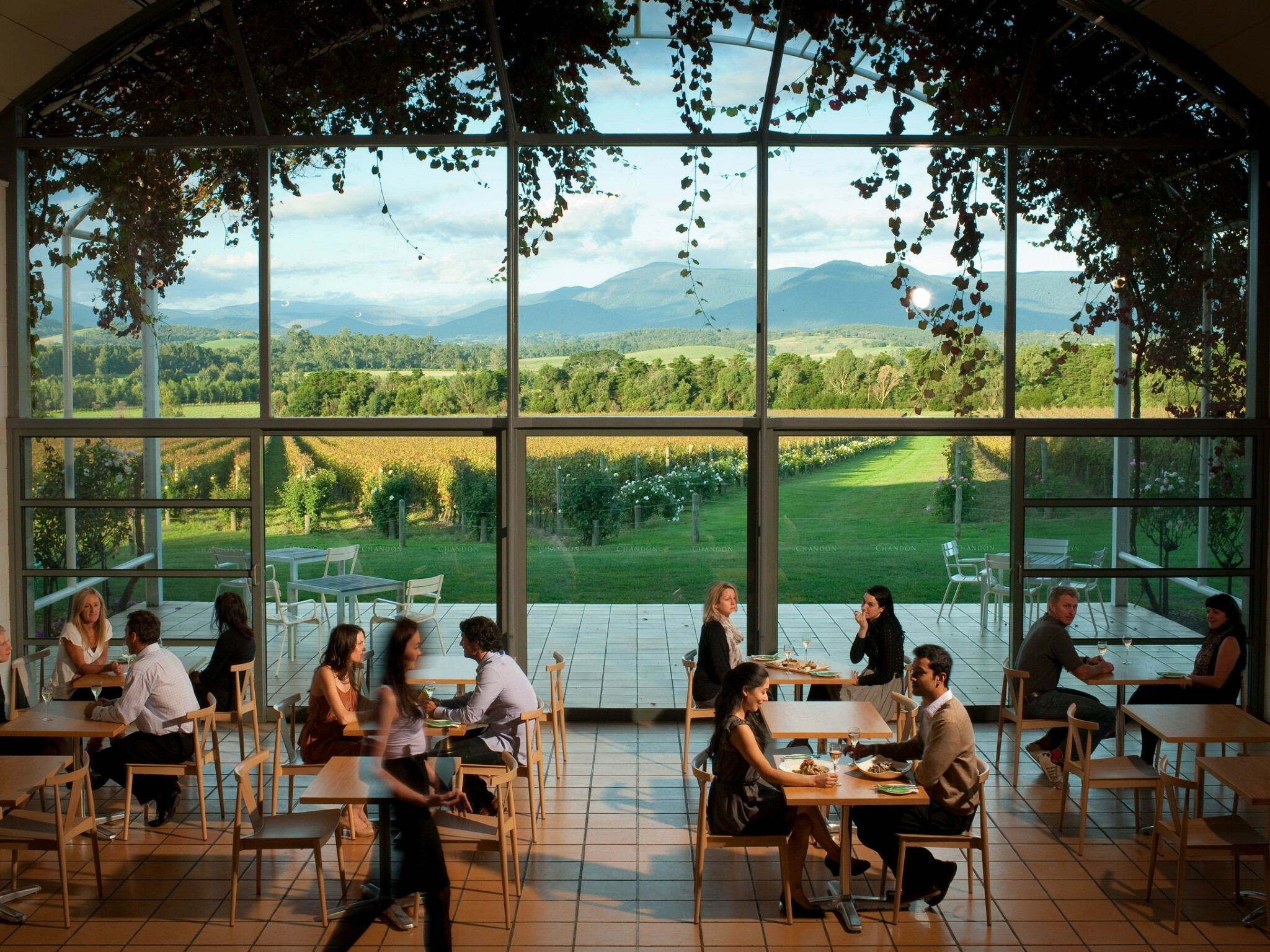 Winery Spotlight: Domaine Chandon - Australian Wine Tour Co.