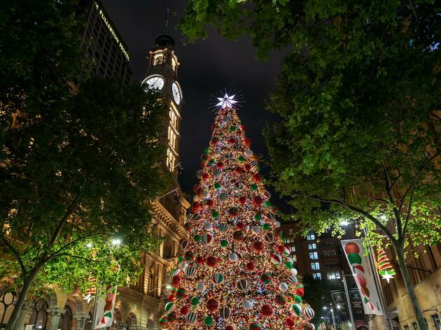 Hunter Valley Christmas Lights