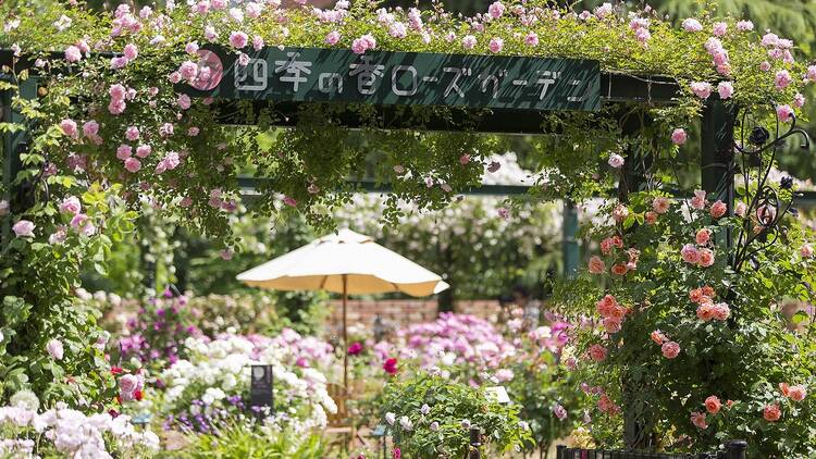 Shikinokaori Rose Garden