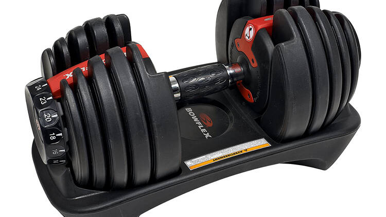 Bowflex SelectTech Adjustable Weights