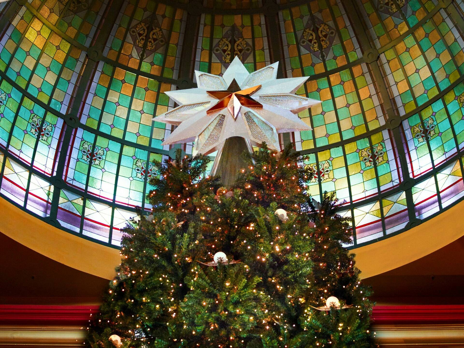 Where to find the best Christmas lights in Sydney in 2022