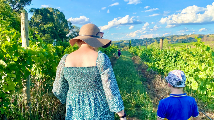 A mother and child walk between grape vines