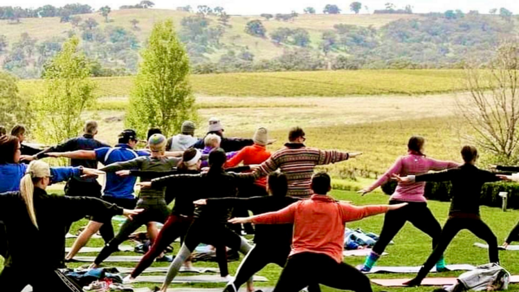 Many people doing yoga in a vineyard