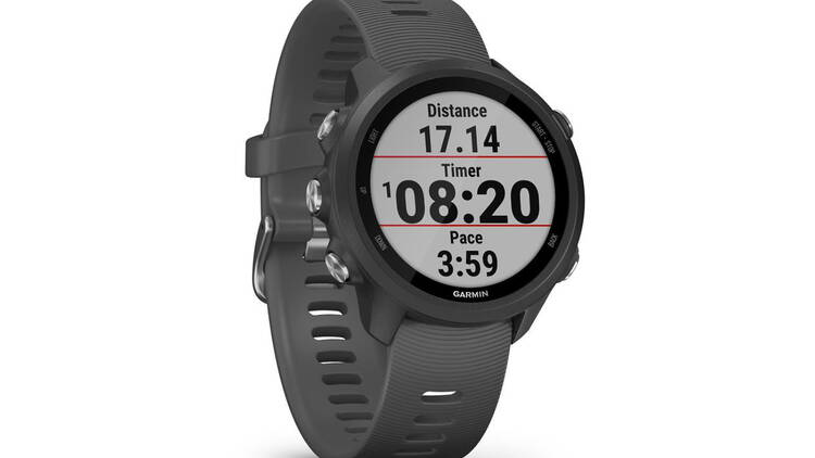 Garmin GPS HR Watch Forerunner 245