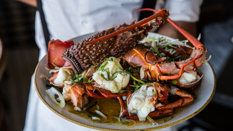 A steamed lobster held by a water in white