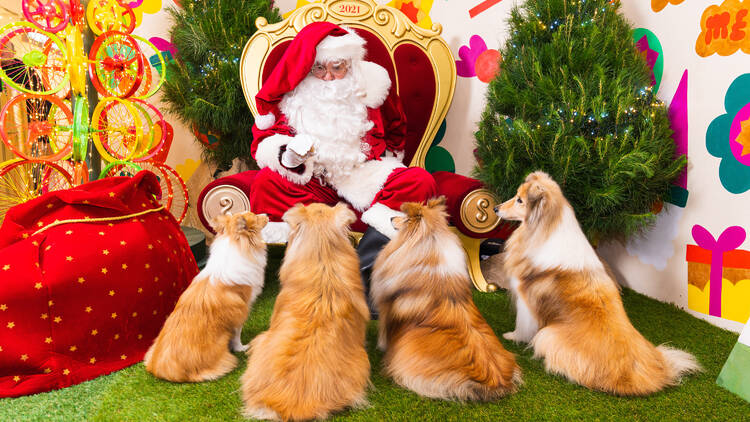 Santa at Marrickville Metro Christmas Wonderland