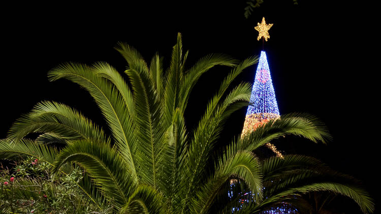 Funchal (Portugal)