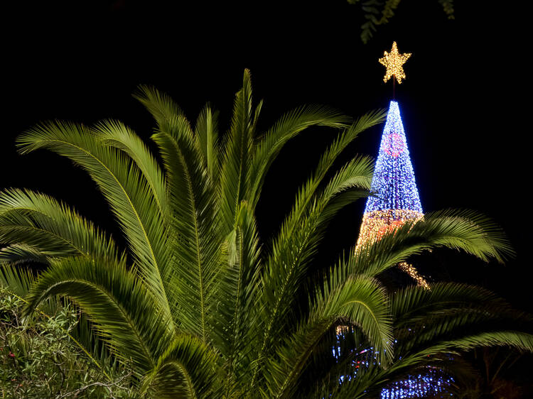 Funchal (Portugal)