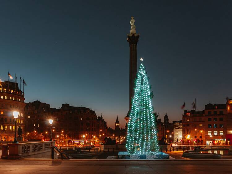 Trafalgar Square Christmas Tree