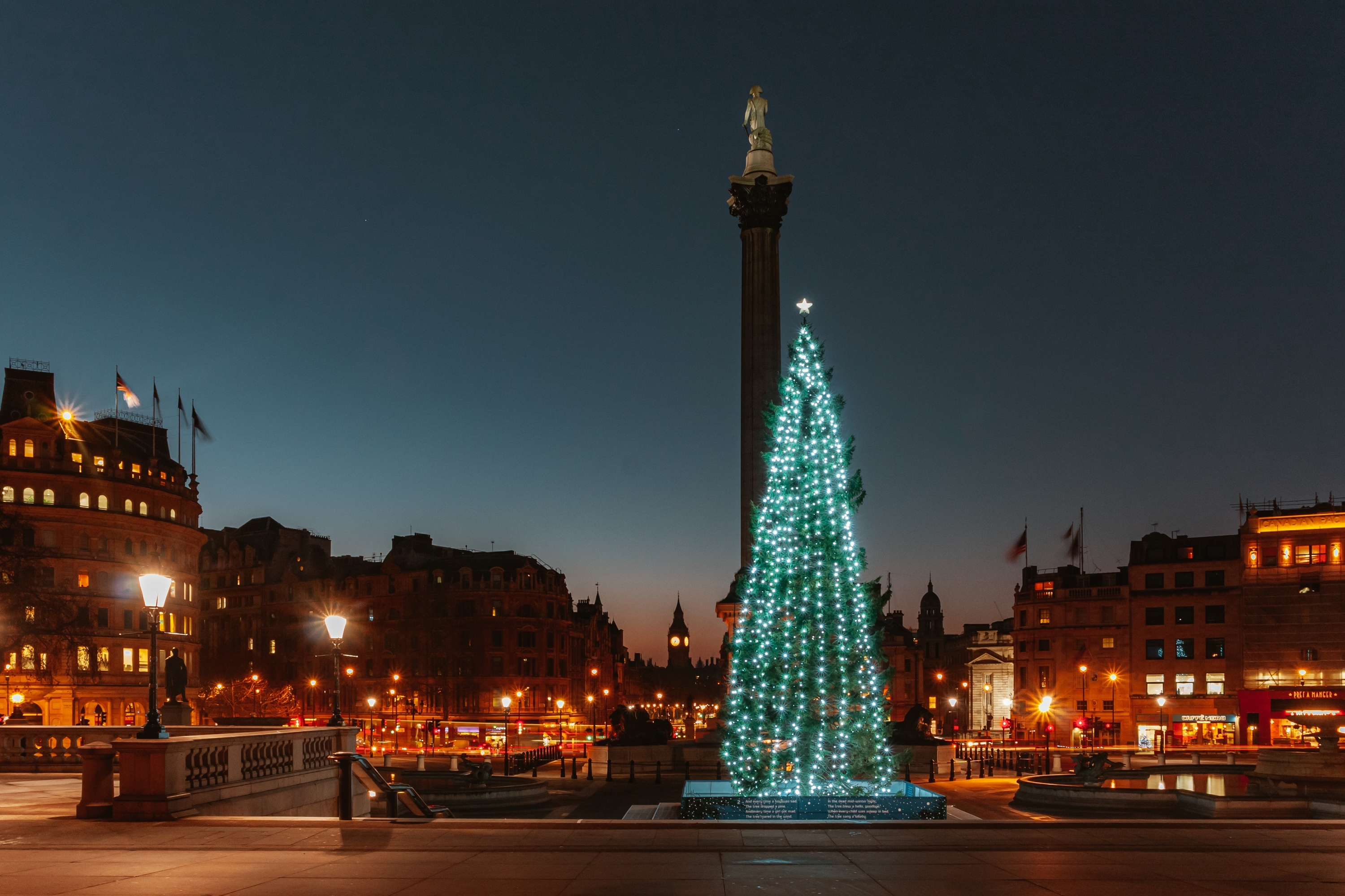 Trafalgar square christmas tree