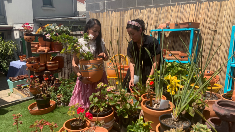 Alejandra and Brenda organising potted plants on the courtyard at She Club.