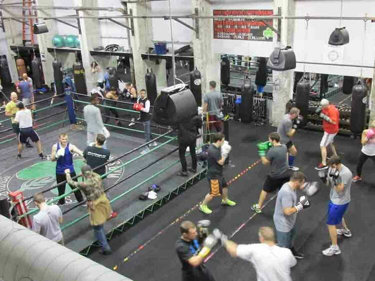 Seven Gyms with Turf to Exercise on around Boston