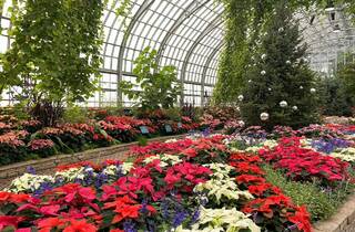 2017 Spring Flower Show - Garfield Park Conservatory