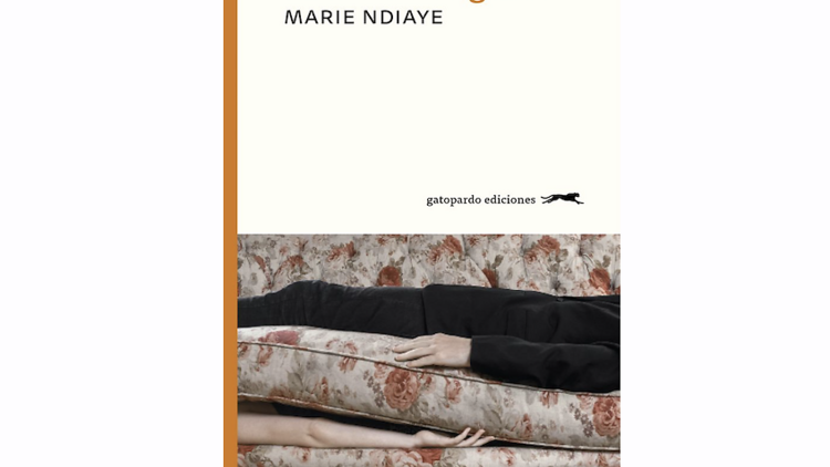 'Mía es la venganza', de Marie NDiaye