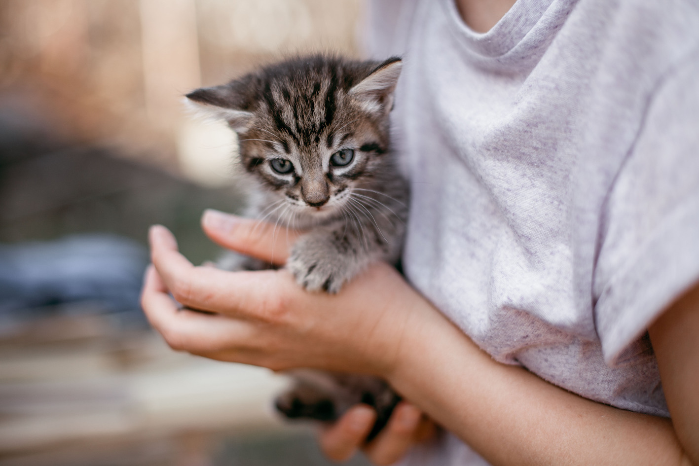 I play with cat. Cat protects Cat. Playing with Cat. Protecting Cats.