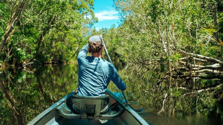 Noosa Everglades