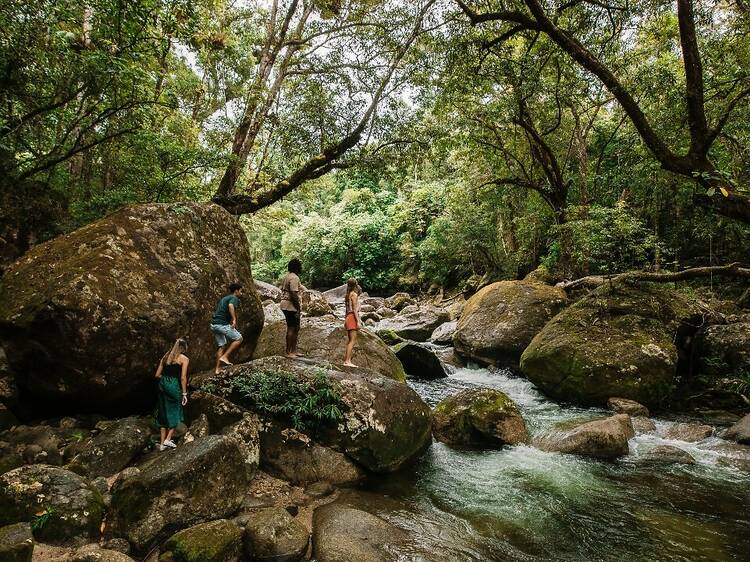 Chase waterfalls in the Daintree Rainforest