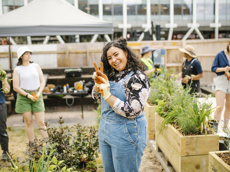 Green space of the year: Gaia's Garden