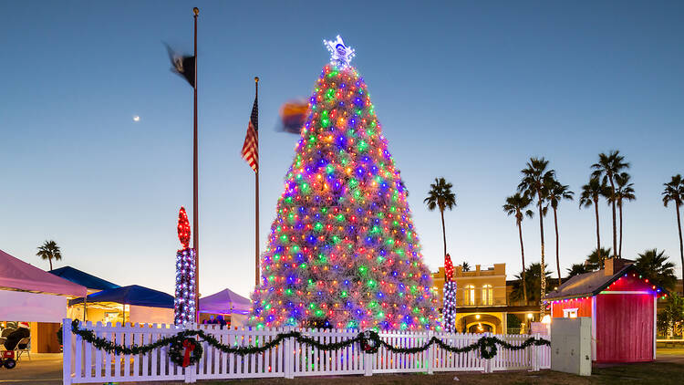 Tumbleweed Christmas Tree: Chandler, AZ