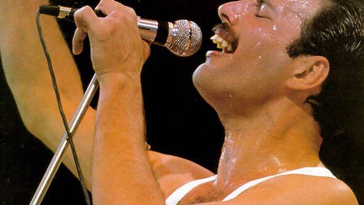 A close up of Freddie Mercury's face as he performs on stage