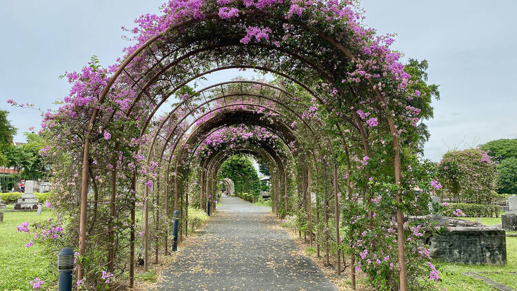 Japanese Cemetery Park