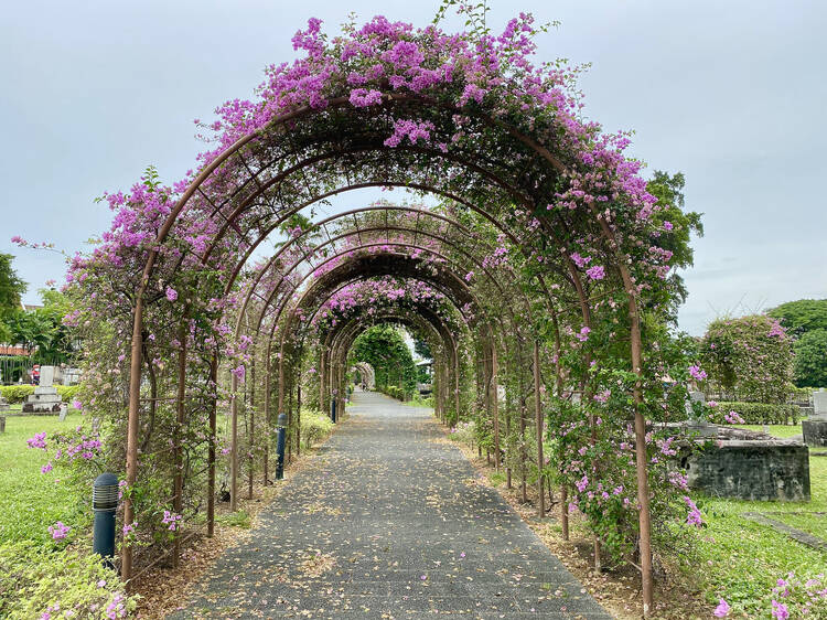 Japanese Cemetery Park