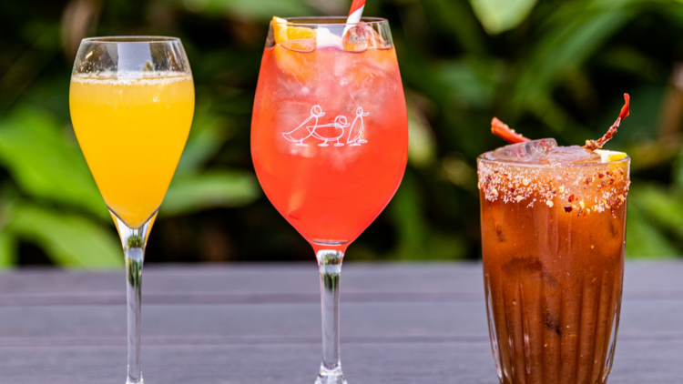 A mimosa, spritz and a bloody mary lined up on a wooden table