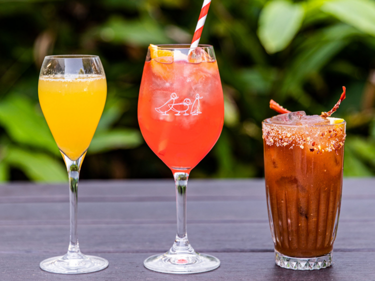 A mimosa, spritz and a bloody mary lined up on a wooden table