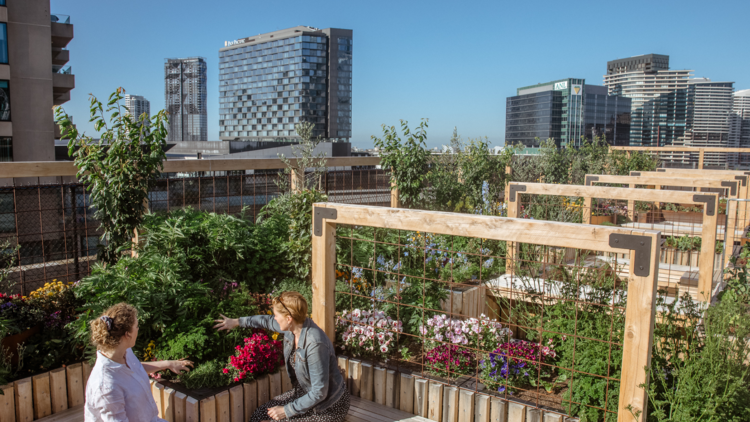 Two people enjoying a lush garden on top of a rooftop carpark with the Melbourne skyline in the background