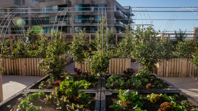 A lush garden on top of a rooftop carpark with the Melbourne skyline in the background