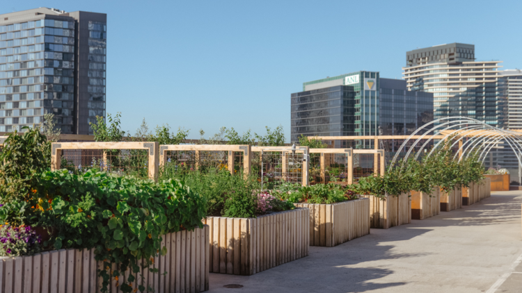 A lush garden on top of a rooftop carpark with the Melbourne skyline in the background