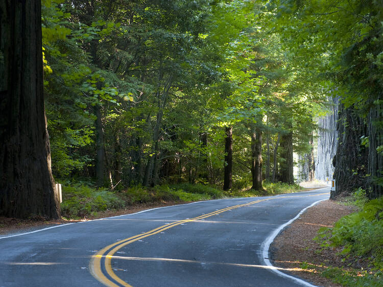 The 10 best weekend getaways from San Francisco The 10 best weekend getaways from San Francisco