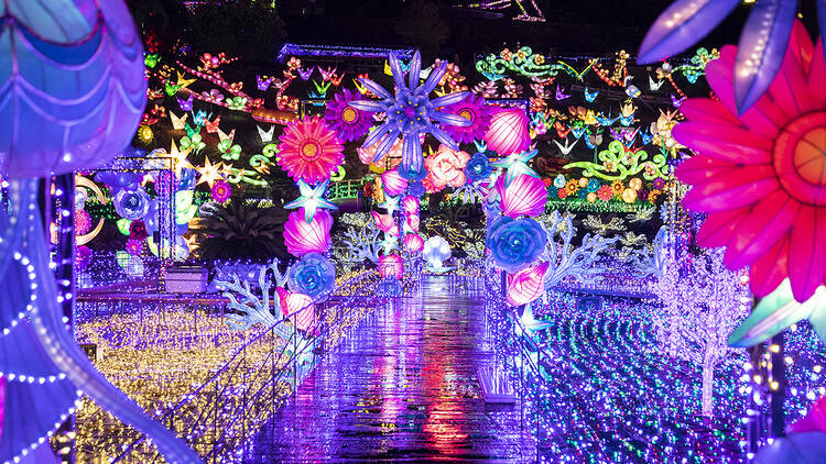 Izu Granpal Park Gran Illumination, Shizuoka