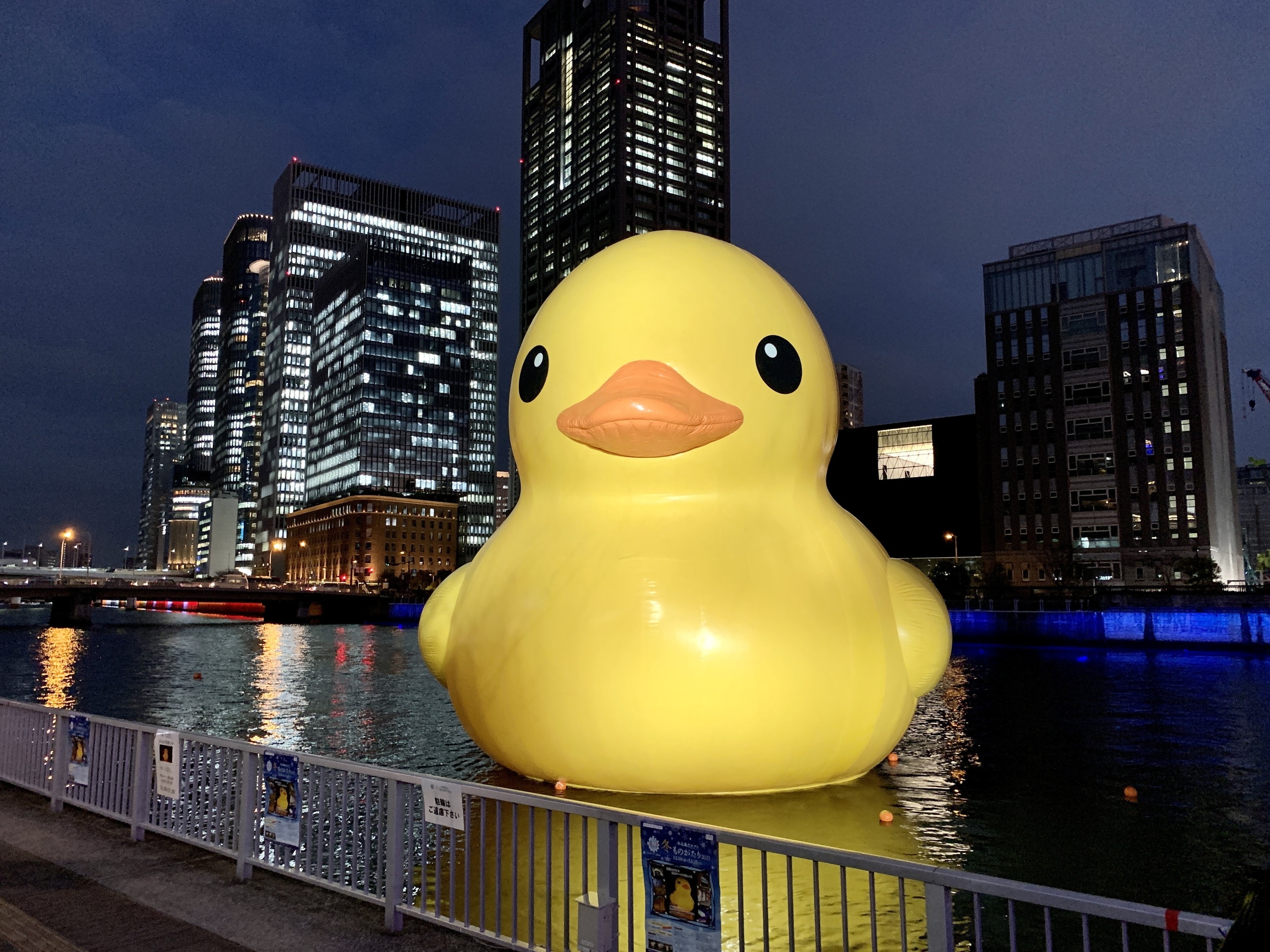 bathtub duck