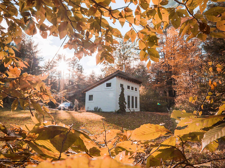 A small but mighty cottage: Putney, VT