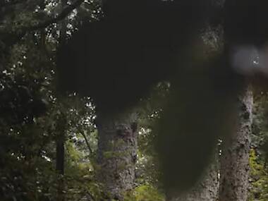 21 cozy cabins near NYC that you can rent on Airbnb 21 cozy cabins near NYC that you can rent on Airbnb