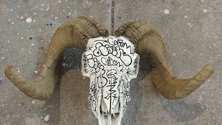 A piece of artwork made from an animal skull, featuring writing with black ink. 