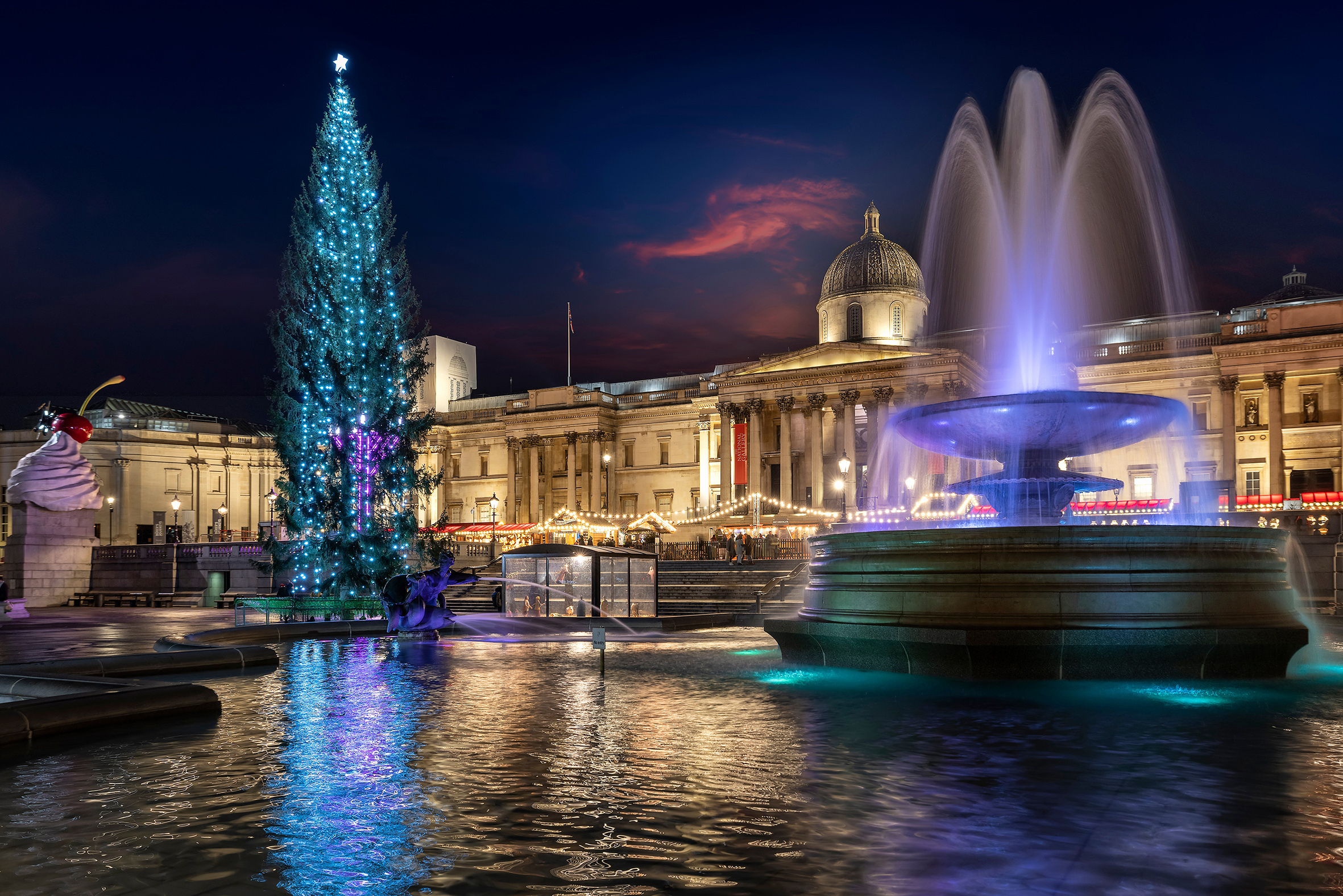 The Trafalgar Square Christmas tree is the second most popular in the world