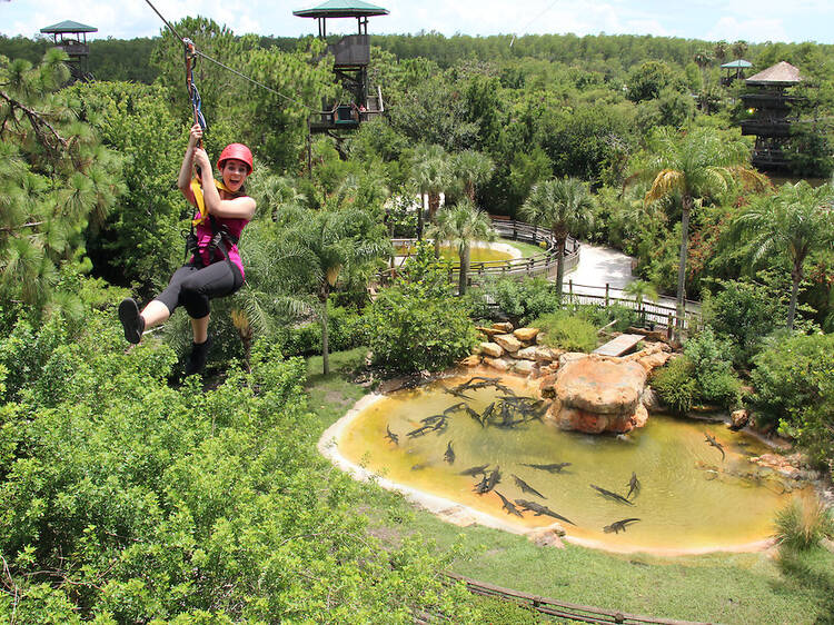 Gatorland