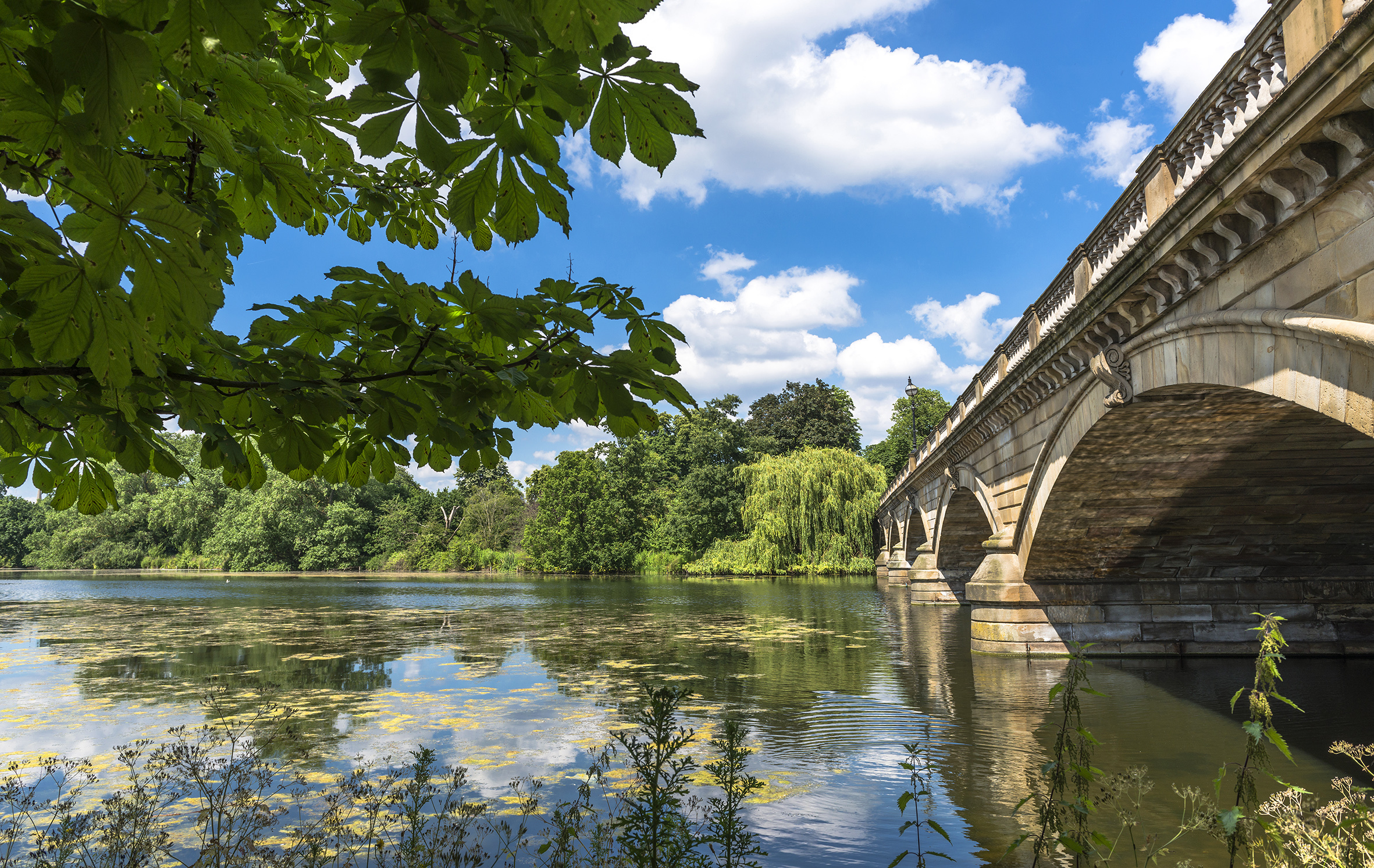 Hyde Park is getting a rewilding makeover