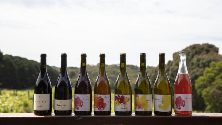 A collection of 8 wines on a wooden shelf with a lush green backdrop.