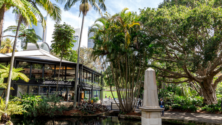From across a pond, the exterior of Botanic House with palm trees and morton bay figs