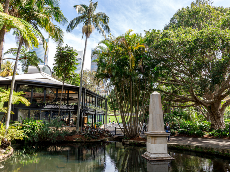 From across a pond, the exterior of Botanic House with palm trees and morton bay figs