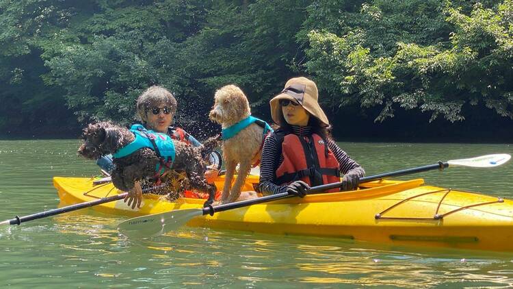 四万湖は愛犬とカヌーで巡る。