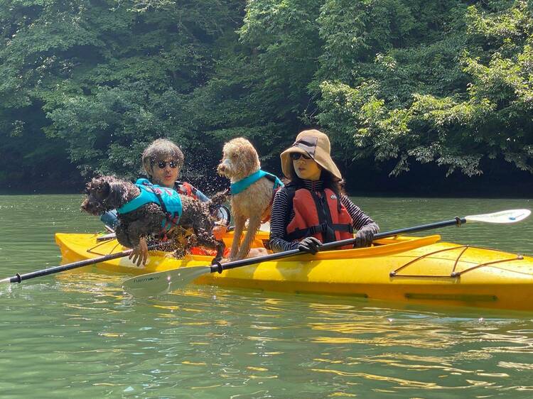 四万湖は愛犬とカヌーで巡る。